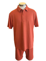 Load image into Gallery viewer, RL shorts outfit set
