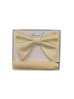 Load image into Gallery viewer, Brand Q Solid Bow Tie set
