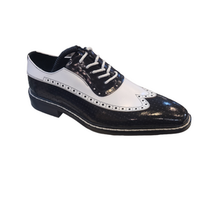 Giovani Two Tone Wing Tip Shoes