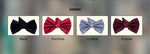Load image into Gallery viewer, St Patrick Bow tie style set
