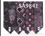 Load image into Gallery viewer, Stacy Adams Fashion tie set 2

