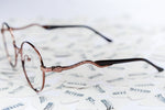 Load image into Gallery viewer, Scream Viper optical glasses
