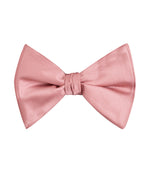 Load image into Gallery viewer, Brand Q Solid Bow Tie set
