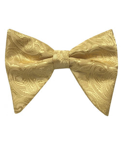 Brand Q Paisley Bow tie