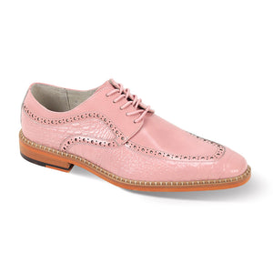 Giovani lace up Bicycle Toe