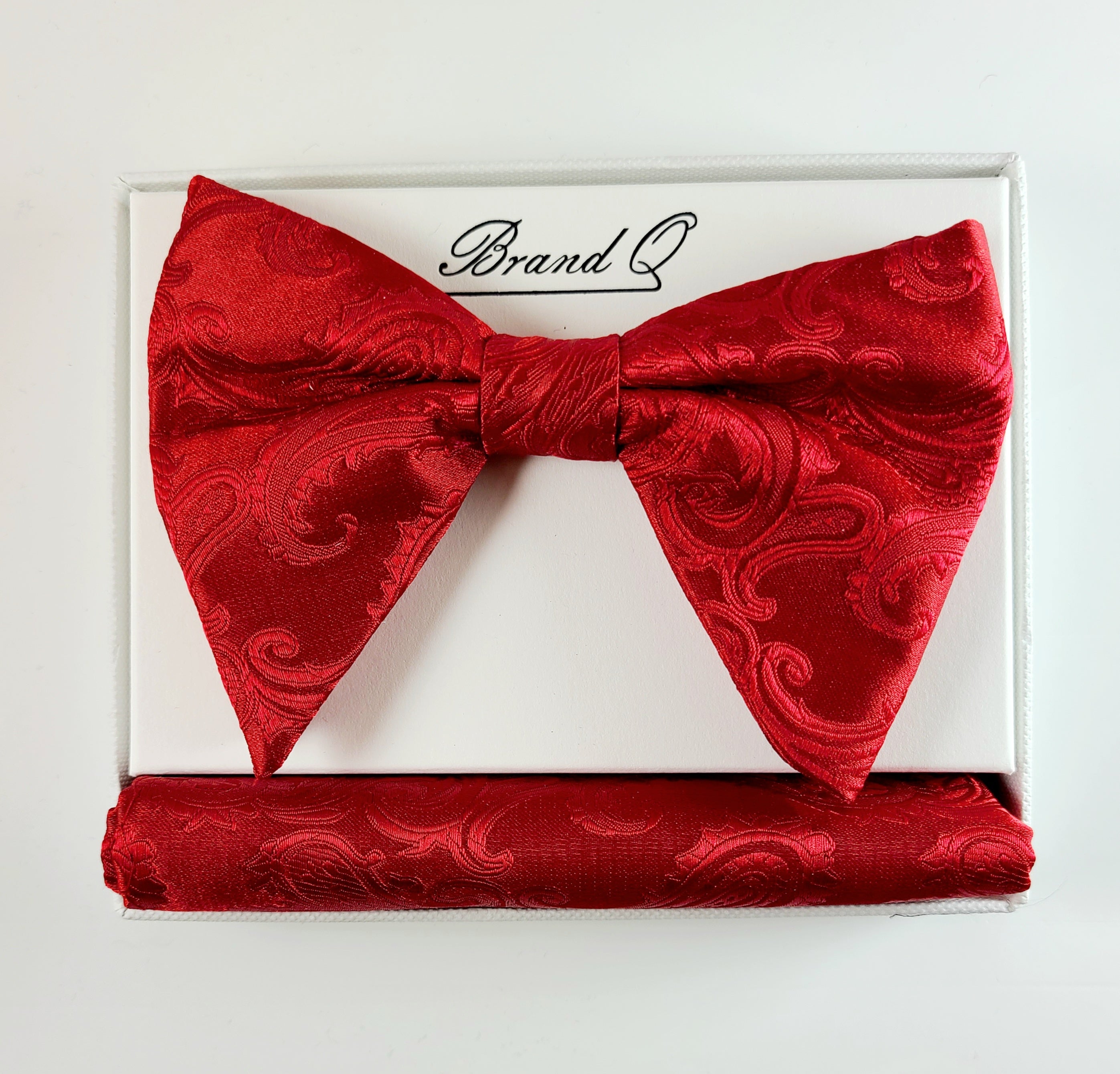 Brand Q Paisley Bow tie