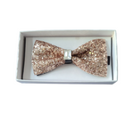 Load image into Gallery viewer, Brand Q Glitter studs Bow tie
