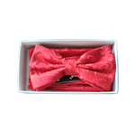 Load image into Gallery viewer, Brand Q Paisley Bow ties Set
